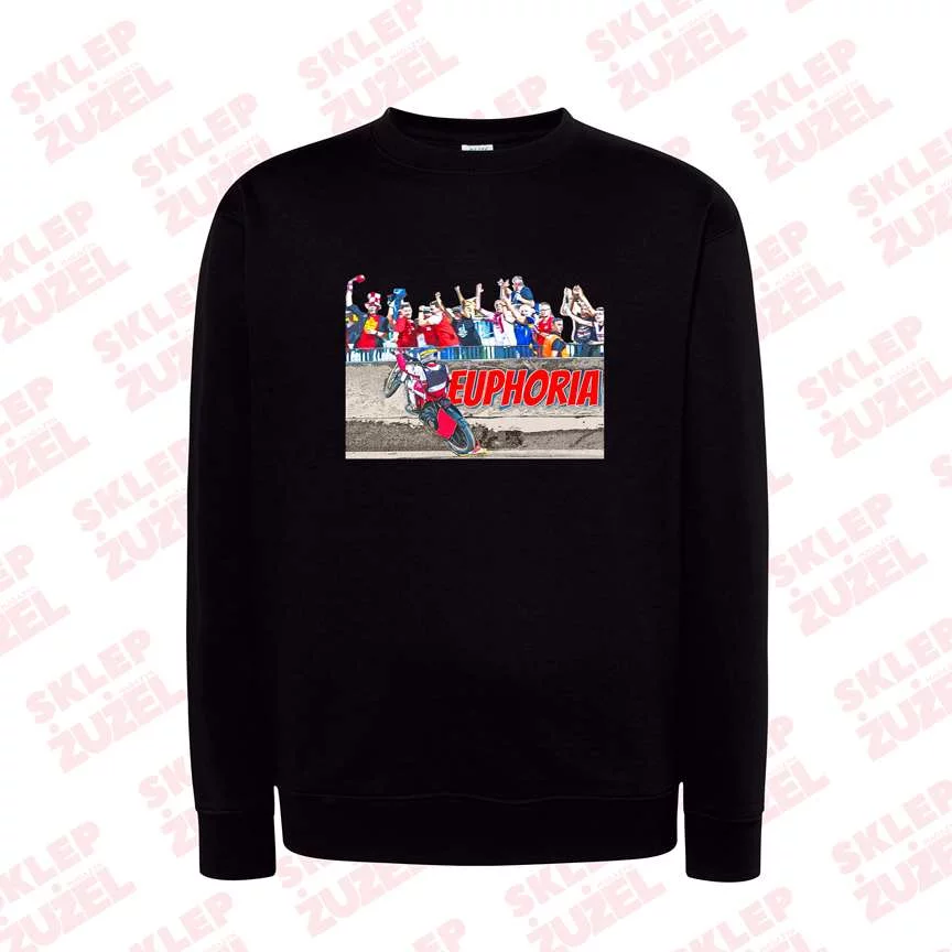 Bluza męska Klasyczna  Z nadrukiem  Grafika MZ23 Euphoria